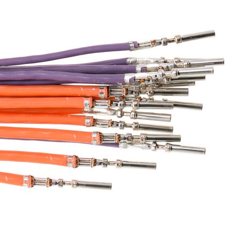 Engine Control Module (ECM) Connector WVE 1P4085