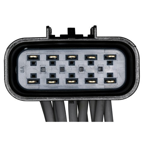Tail Light Connector WVE 1P4104