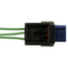 Liftgate Control Module Connector WVE 1P4246