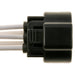 Windshield Wiper Motor Connector WVE 1P4260