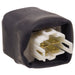 A/C Compressor Control Relay WVE 1R1538