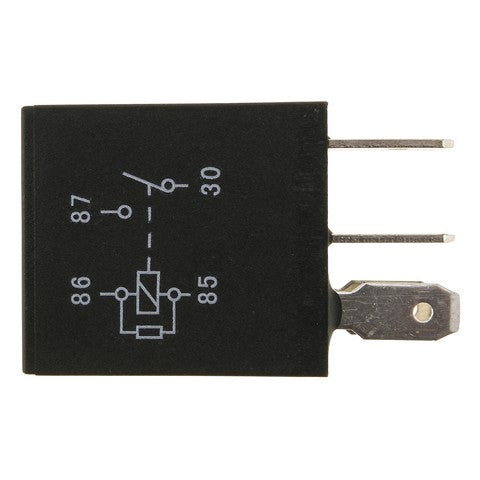 Horn Relay WVE 1R2255