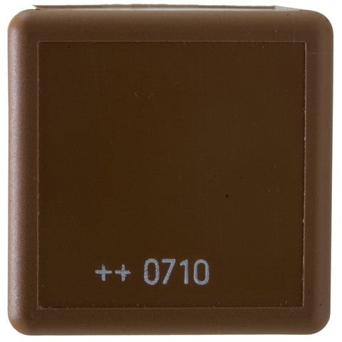 Fuel Pump Relay WVE 1R2311
