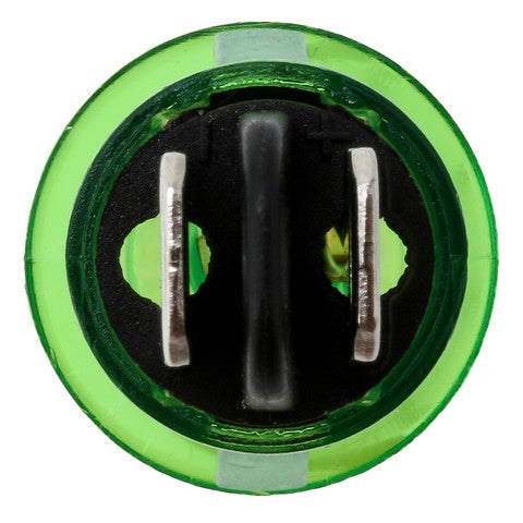 Dash Indicator Light Set WVE 1S1007