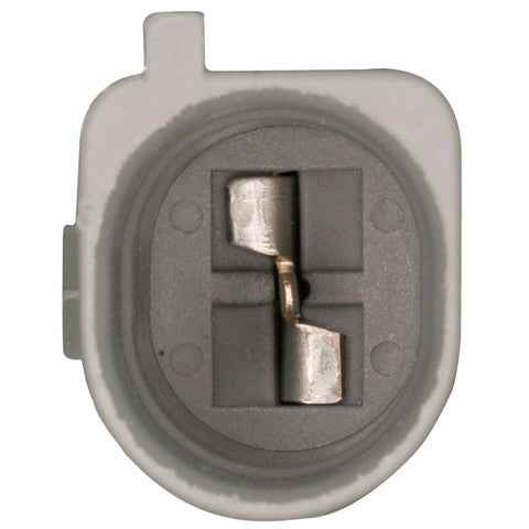 Engine Oil Pressure Switch WVE 1S10845