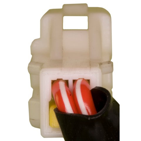 Ignition Switch WVE 1S10976