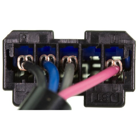Turn Signal Switch WVE 1S11504