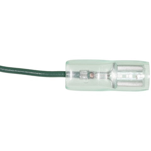 Cruise Control Switch WVE 1S11787