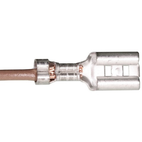 Cruise Control Switch WVE 1S11788