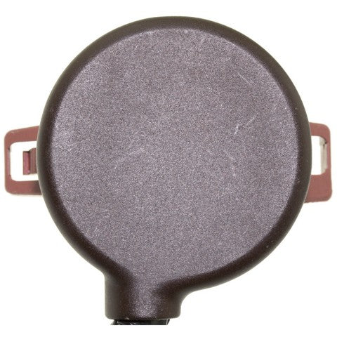 Ignition Switch WVE 1S12061