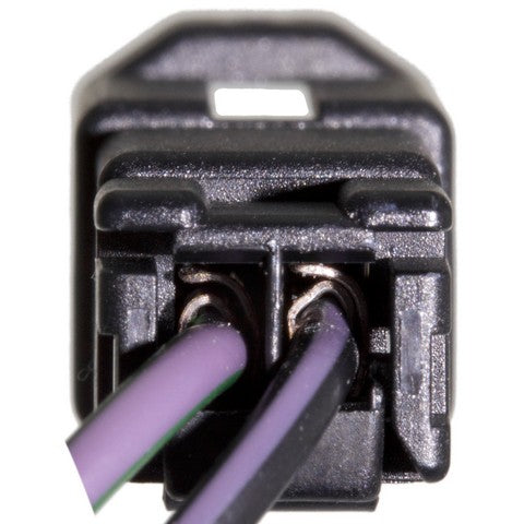 Ignition Switch WVE 1S12061