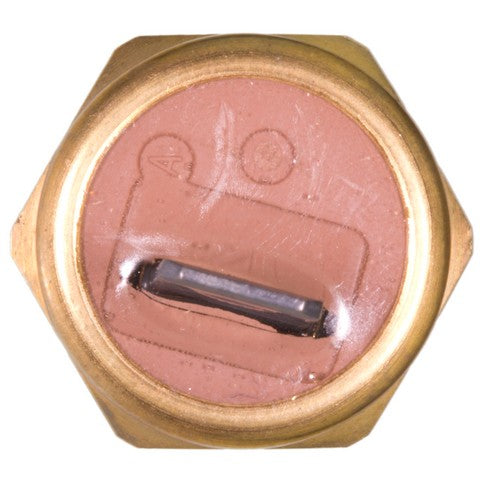 Power Steering Pressure Switch WVE 1S12085