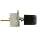 Tailgate Release Switch WVE 1S1229