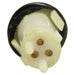 Tailgate Release Switch WVE 1S1248