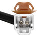 Tailgate Release Switch WVE 1S12580