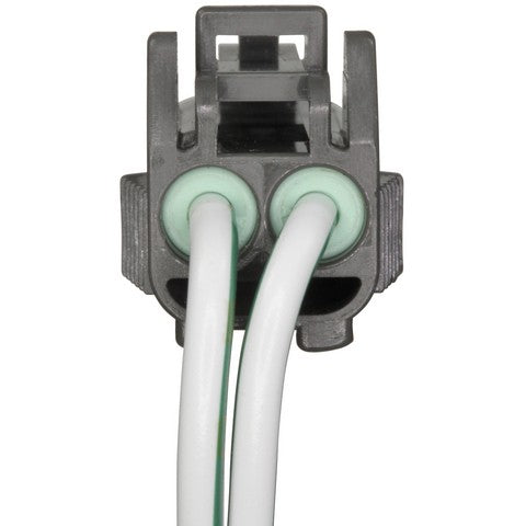 Back Up Light Switch WVE 1S12701