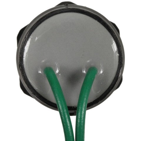 Back Up Light Switch WVE 1S12717