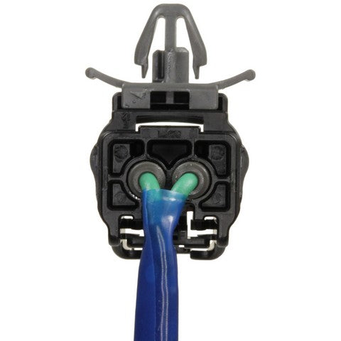 Back Up Light Switch WVE 1S12724