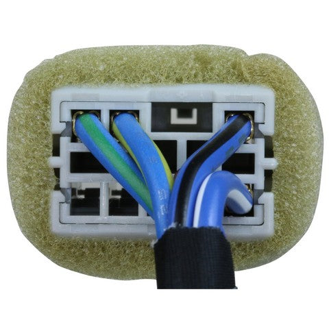 Door Window Switch WVE 1S13377