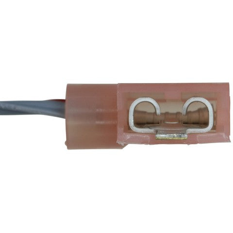 Cruise Control Switch WVE 1S14837