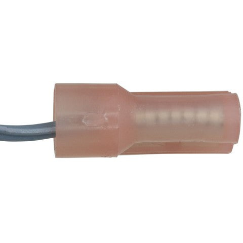 Cruise Control Switch WVE 1S14837