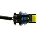 Liftgate Latch Release Switch WVE 1S15806