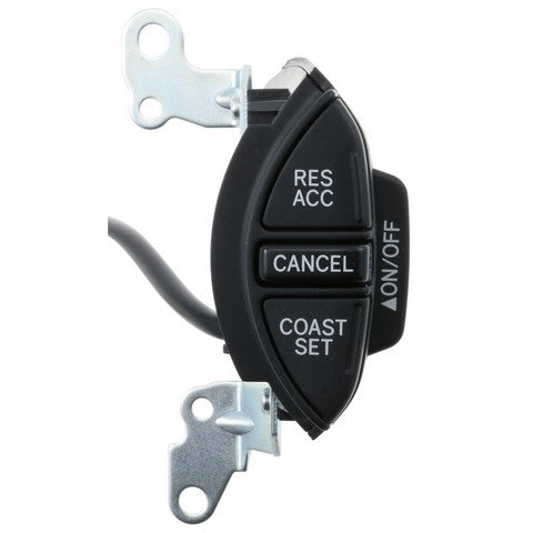 Cruise Control Switch WVE 1S15975