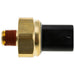 Engine Oil Pressure Switch WVE 1S16094