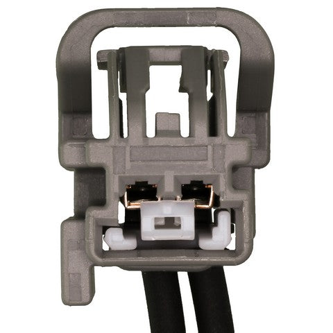 Liftgate Latch Release Switch WVE 1S16178