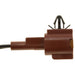 Neutral Safety Switch WVE 1S16621