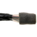 Ignition Switch WVE 1S16810