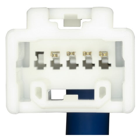 Cruise Control Switch WVE 1S16813