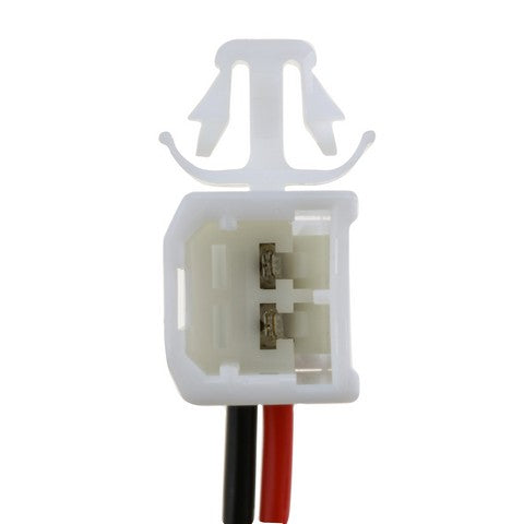 Ignition Switch WVE 1S17926