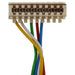 Turn Signal Switch WVE 1S18024