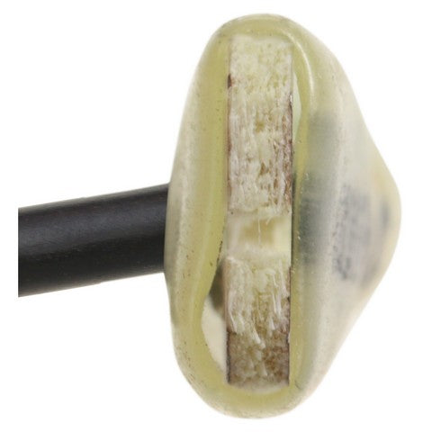 Cruise Control Switch WVE 1S2012