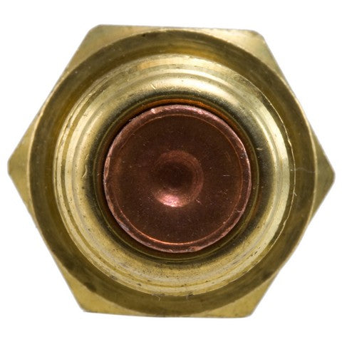 Engine Cooling Fan Switch WVE 1S2686