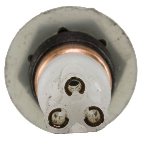 Door Jamb Switch WVE 1S2959