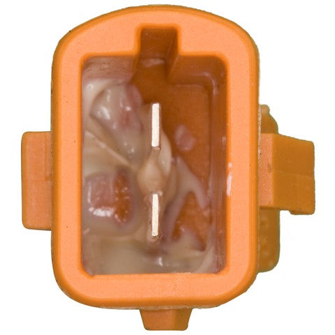 Door Jamb Switch WVE 1S3679