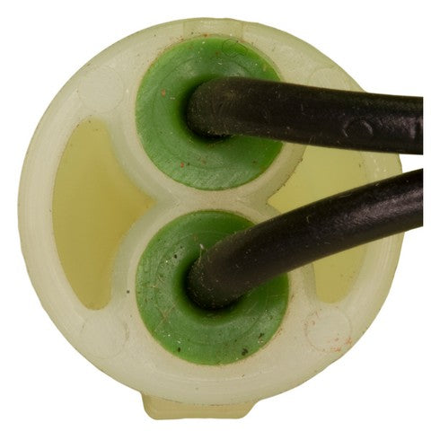 Engine Cooling Fan Switch WVE 1S4782