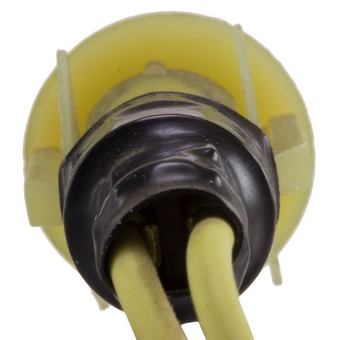 Clutch Pedal Position Switch WVE 1S4970