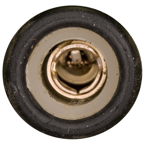 Back Up Light Switch WVE 1S5153