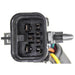 Neutral Safety Switch WVE 1S5230