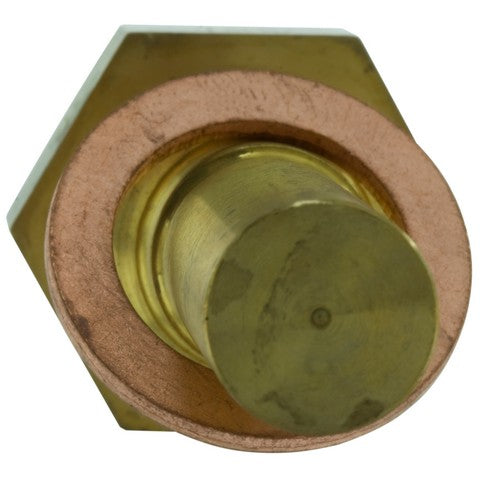 Exhaust Gas Recirculation (EGR) Time Delay Switch WVE 1S5242