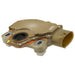 Neutral Safety Switch WVE 1S5350