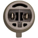 Neutral Safety Switch WVE 1S5477