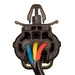 Neutral Safety Switch WVE 1S5558