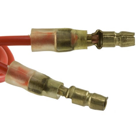 Back Up Light Switch WVE 1S5601