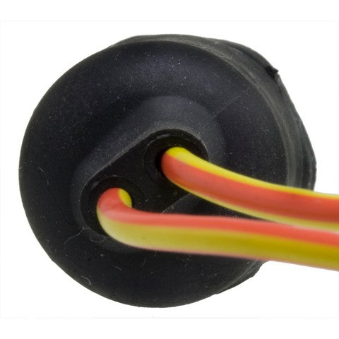 Back Up Light Switch WVE 1S5626