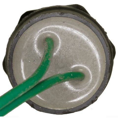 Back Up Light Switch WVE 1S5648