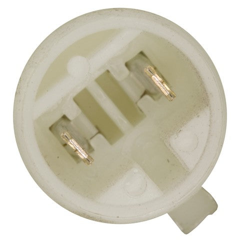 Back Up Light Switch WVE 1S5648